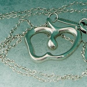 Tiffany & Co. Pendant Necklace Apple Silver 925 - Image 4