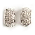 Christian Dior Shine earrings