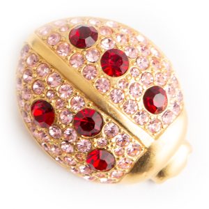 Givenchy Ladybug brooch